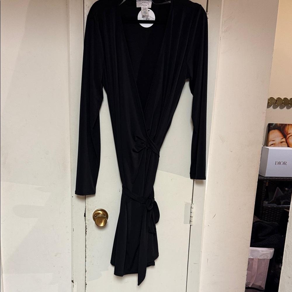Janette Plus Black Long Sleeve Dress